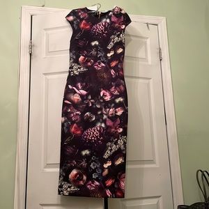 Gorgeous TED BAKER floral dress